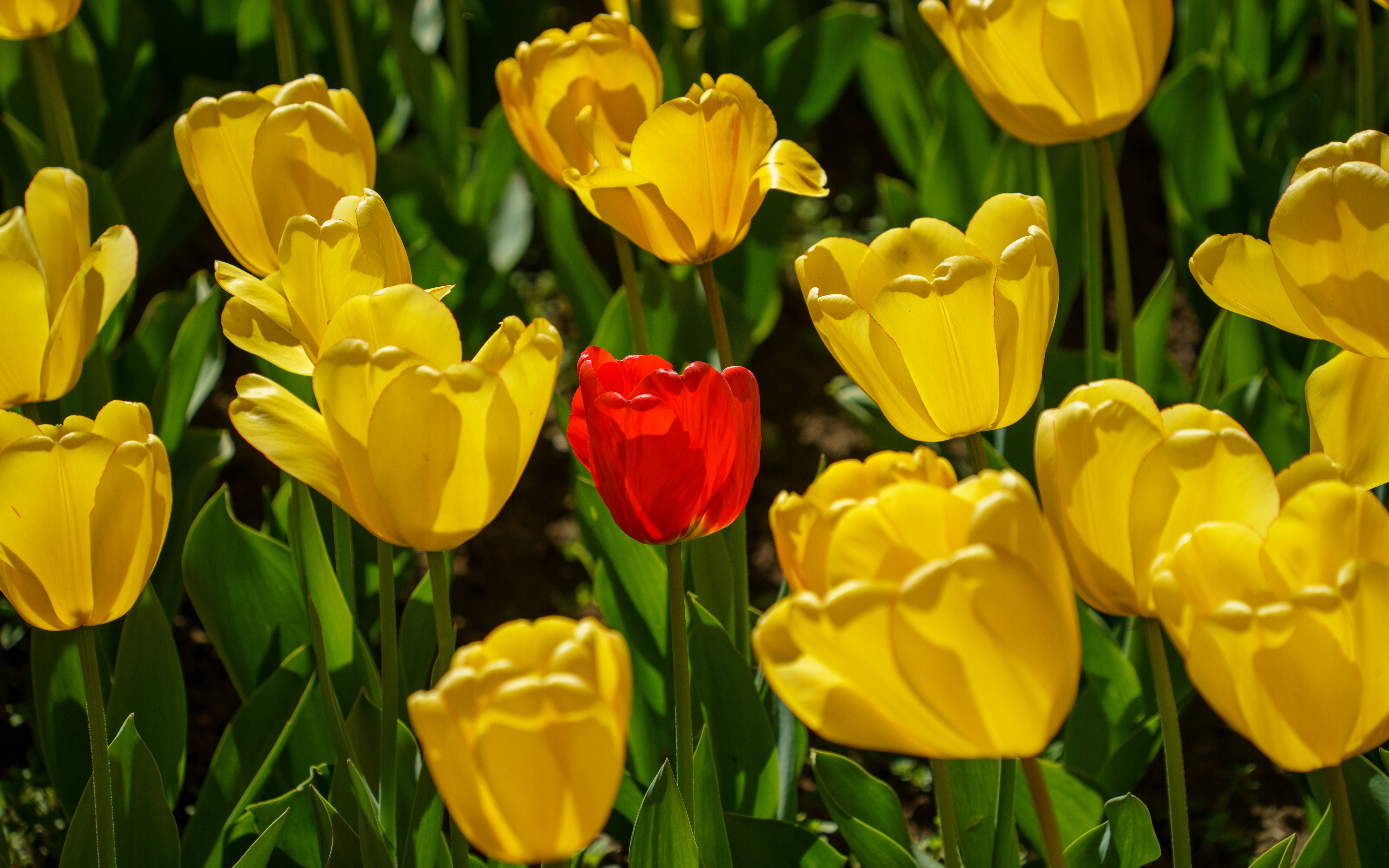 THE COST OF NOT ADDRESSING AN UNDERPERFORMING TEAM MEMBER
