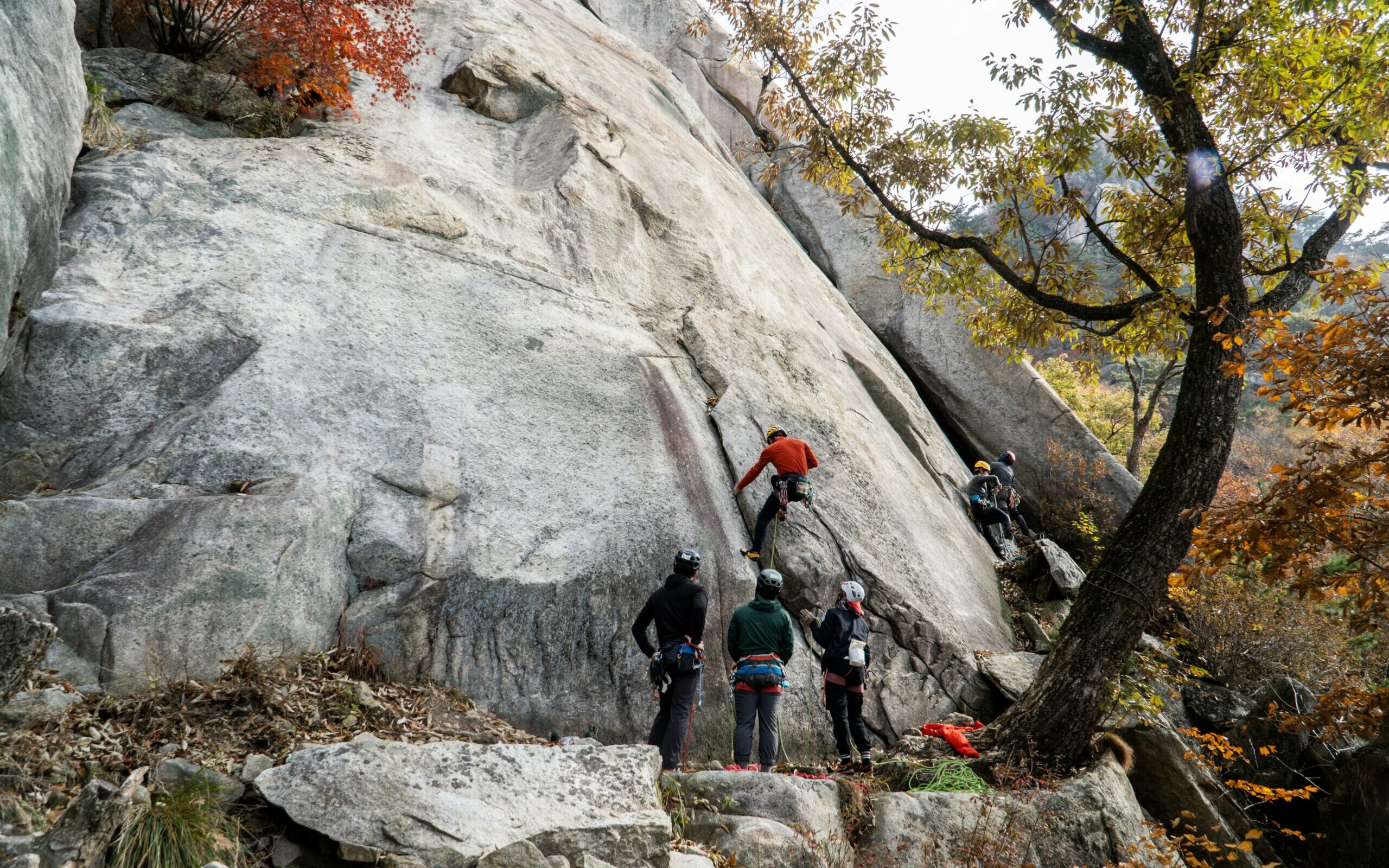 GOING BEYOND TEAM BUILDING