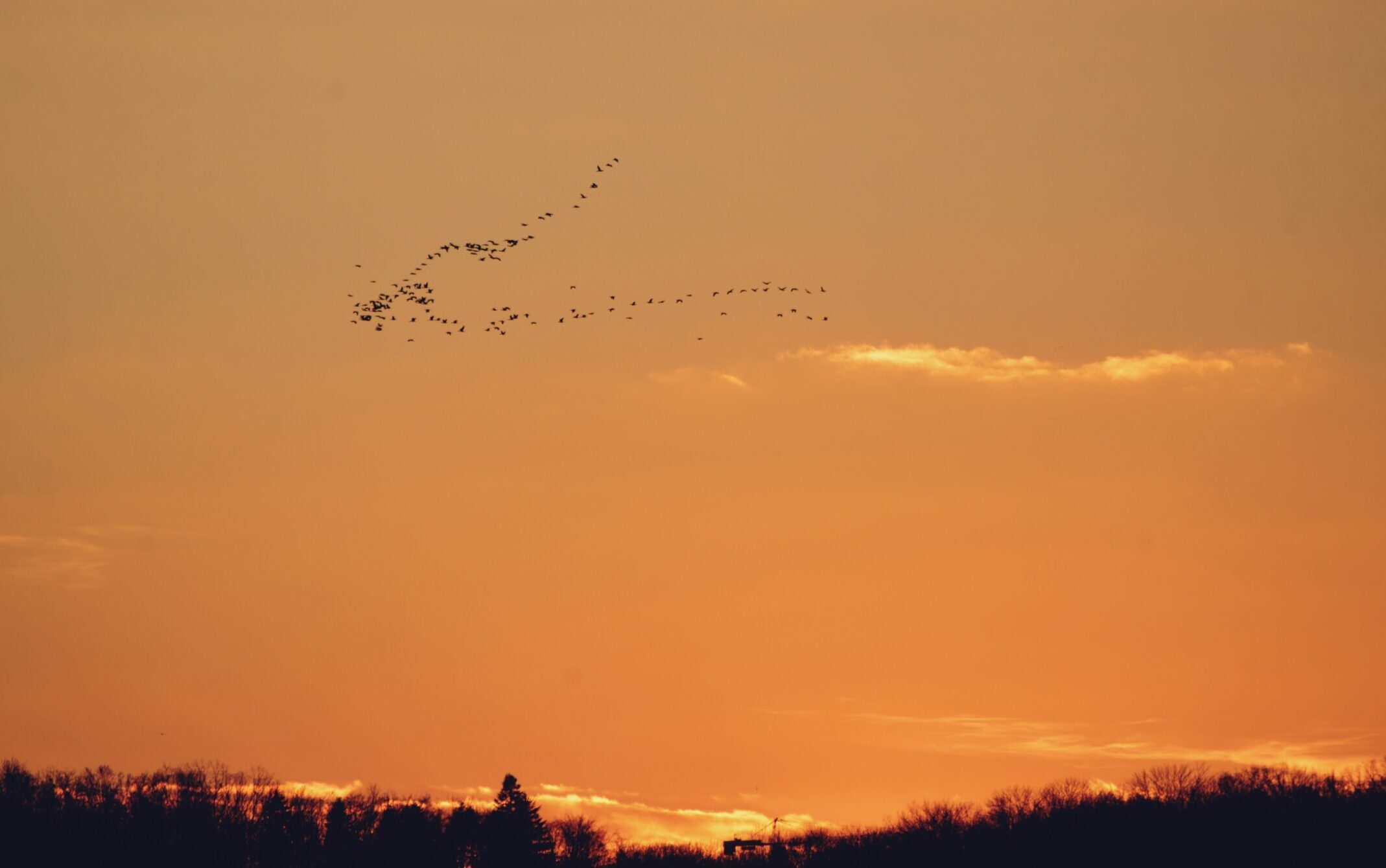 BINDING A TEAM TOGETHER